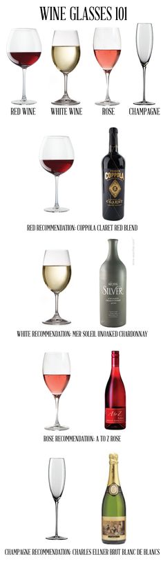 228 best Инфографика напитки images on Pinterest Drinks, Drink and - recoommendation letter guide 228 best Инфографика напитки images on Pinterest Drinks, Drink and - recoommendation letter guide