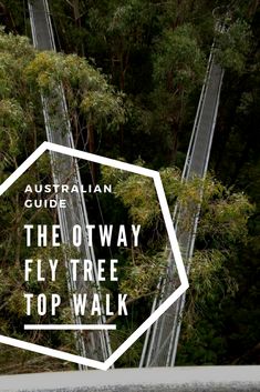 The Otway Fly Tree Top Walk The Otway Fly Tree Top Walk