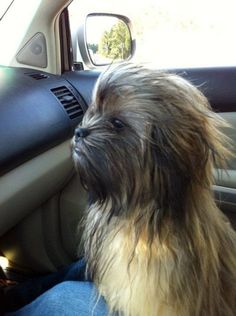 muñeco chewie