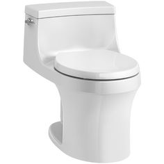 Aquia Dual Flush Elongated Two Piece Toilet Seat Not Included