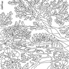Twenty Adult Coloring Pages
