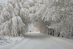 264 best winter scenes