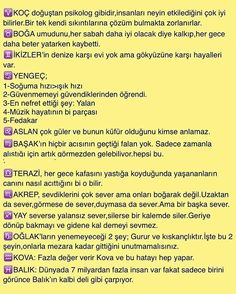 gunluk burc yorumlari burclar ikizler ikizler burcu gunluk burc yorumlari burclar ikizler ikizler burcu