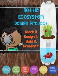 build a self sustaining ecosystem aquariums tanks pinterest