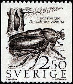 chat community sverige chat community sverige