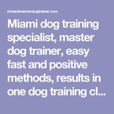 canaan dog breed information pictures characteristics facts master training specialist