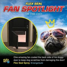 180 best flex seal