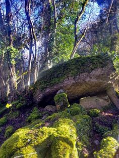 48 hours in Irelands Hidden Heartlands Longford, Roscommon and Leitrim Head back to one of the ten restaurants for a spot of lunch and pack your bags for is Corlea Trackway a reconstructed oak pathway dating back to the Iron Age. 48 hours in Irelands Hidden Heartlands: Longford