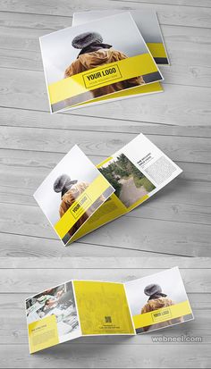 564 best brochure inspiration