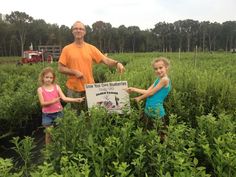27 Best Blueberry S Images On Pinterest Farm Premium Blueberry Plants For Dimeo Farms Nursery Bushes Plant