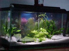 86 best aquarium furniture