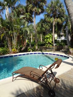 12 best 12 palms recovery center images on pinterest palm trees