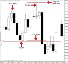 Price action based ea forex