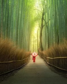 600 Travel Brochure Ideas Travel Travel Brochure Places To Travel