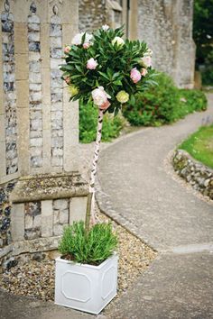 111 Best Topiary Trees Images In 2018 Fl Clic Elegance Chapel Weddingtree