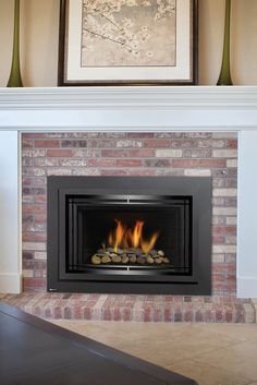 24 Best Gas Inserts Images Gas Fireplace Inserts Gas Insert Regency