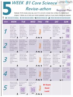 study timetable maker