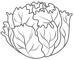 Cabbage vegetable coloring page for kids, printable | Educational ... Cabbage vegetable coloring page for kids, printable | Educational ...