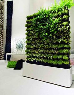 Diy Living Wall 5 simple ways to create a diy living wall | living walls and walls Diy Living Wall 5 simple ways to create a diy living wall | living walls and walls
