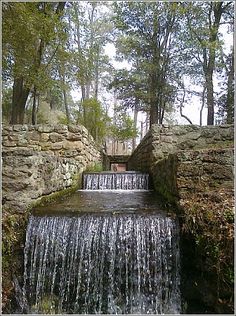22 Best Poinsett State Park Images State Parks Park South