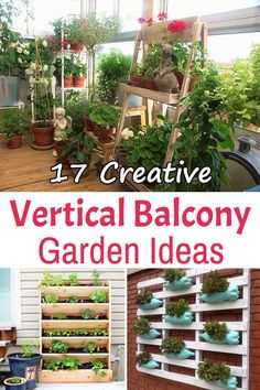 50 Best Balcony Gardening Images In 2020 Garden Apartment Plants Balcony Garden