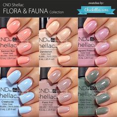 Cnd Shellac Field Fox Swatch By Ettes Soak Off Gel Cnd Shellac Flora Fauna Collection Swatch By Ettes Nail Polish Colorsblue