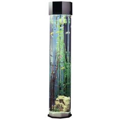 aquarium decor for any
