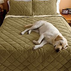 our dog proof bedding is designed to protect your bed from dirt pet dog hair resistant sheets