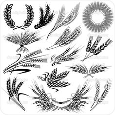 the 42 best viljapead images on pinterest draw wheat tattoo and