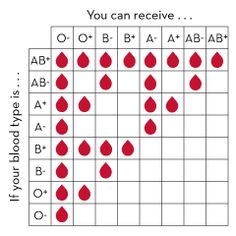 blood type chart mother father child paternity parent child birth chart compatibility