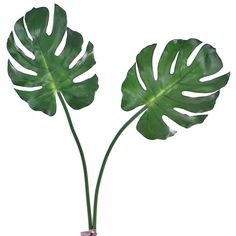 15 Inch Fern Round Garland for Door Wall Window Party D/écor momoplant Artificial Green Leaf Wreath