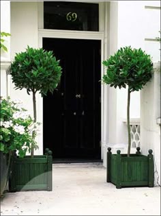 108 Best Outdoor Topiary Images Garden Art Home Sweet Black Doors And Topiaries