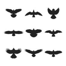 black and white thunderbird bird ssilhouette black and white thunderbird bird ssilhouette