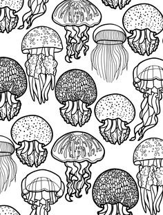 23 Free Printable Insect Animal Adult Coloring Pages