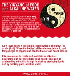 The Yinyang Of Food And Alkaline Water For More Info About Alkaline Water Http Www Alkalux Com Knowledge Base About Alkaline Water Alkaline Energetic Body