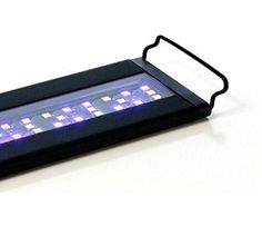 87 best aquarium products