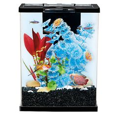 177 best fishies images