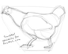 drawings of huts how to draw a hen step by step