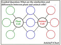 Printable Plant and Animal Cell | Animal Cell and Plant Cell | Science | Pinterest | Plant and ...
