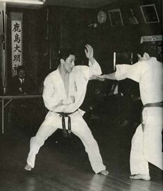 Confirm. Ashi te karate do pepe authoritative Ashi te karate do pepe opinion