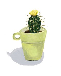 Cactus illustrations 215 fantastiche immagini su pinterest nel ... Vaso per cactus grande
