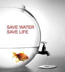 Save water save life essay