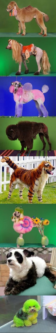 forever remembered 42 incredible dog memorial tattoos the is it a dog or something else one trend we don t need to import from china