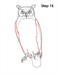 Great Horned Owl Drawing 15
