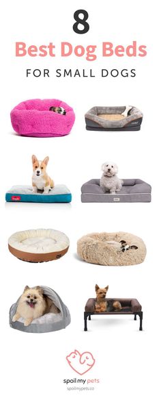 11 Top 10 Best Dog Pillows in 2019 images 11 Top 10 Best Dog Pillows in 2019 images