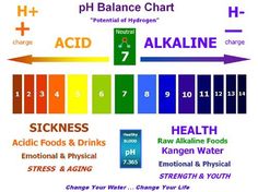 Pinterest Ph Chart Copy Alkaline T Recipes Foods Kangen Water