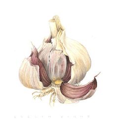 Related image