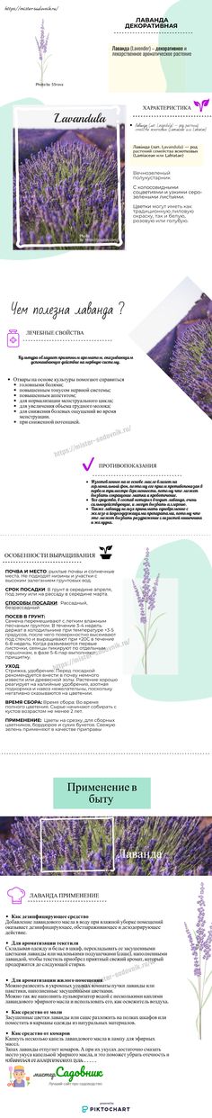 Как выращивать коноплю на открытом грунте Как выращивать коноплю на открытом грунте какой тор браузер лучше для андроид gydra