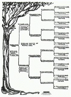 family tree with cousins template