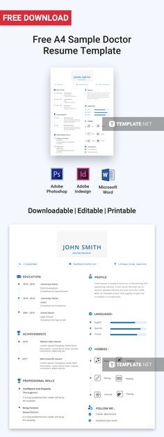 Free Network Engineer Resume Template and Cv template - sample network engineer resume Free Network Engineer Resume Template and Cv template - sample network engineer resume